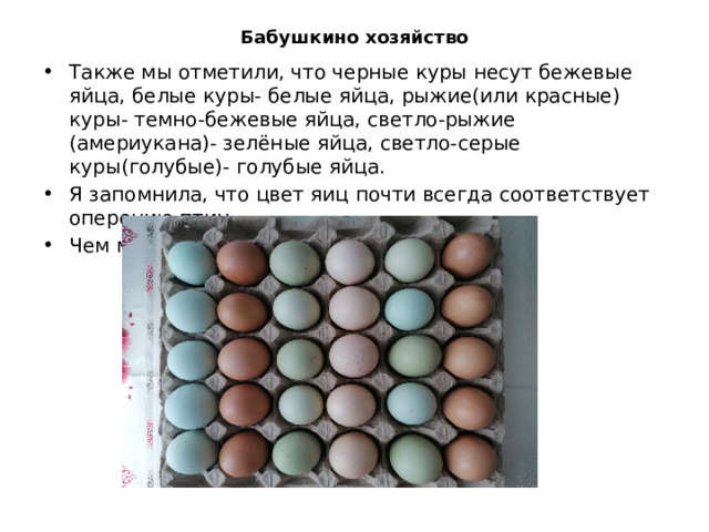 Бабушкино хозяйство   Также мы отметили, что черные куры несут бежевые яйца, белые куры- белые яйца, рыжие(или красные) куры- темно-бежевые яйца, светло-рыжие (америукана)- зелёные яйца, светло-серые куры(голубые)- голубые яйца.  Я запомнила, что цвет яиц почти всегда соответствует оперению птиц. Чем моложе курица- тем ярче цвет яйца. 