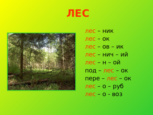 ЛЕС  лес – ник  лес – ок  лес – ов – ик  лес – нич – ий  лес – н – ой  под – лес – ок  пере – лес – ок  лес – о – руб  лес – о - воз 