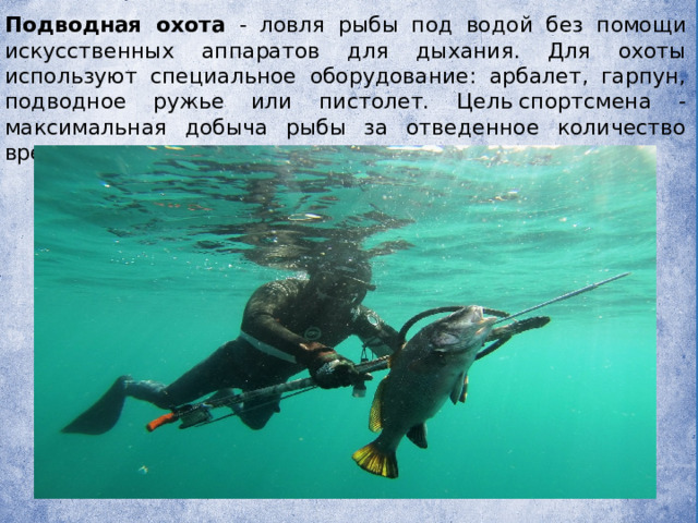 Подводная охота - ловля рыбы под водой без помощи искусственных аппаратов для дыхания. Для охоты используют специальное оборудование: арбалет, гарпун, подводное ружье или пистолет. Цель спортсмена - максимальная добыча рыбы за отведенное количество времени. 