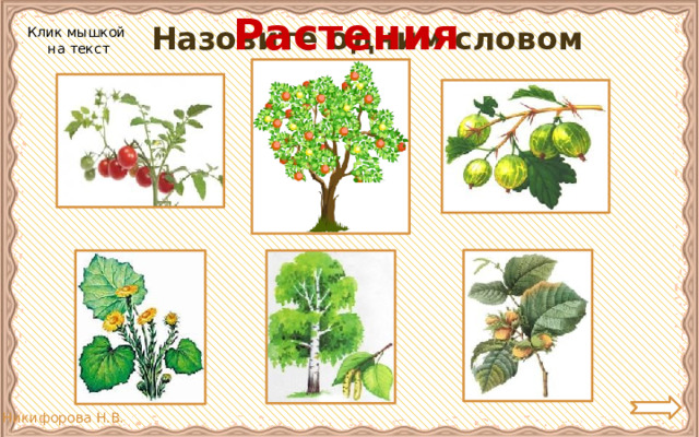 Растения Назовите одним словом Клик мышкой  на текст 