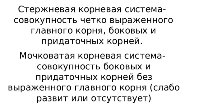 Стержневая корневая система- совокупность четко выраженного главного корня, боковых и придаточных корней. Мочковатая корневая система- совокупность боковых и придаточных корней без выраженного главного корня (слабо развит или отсутствует) 
