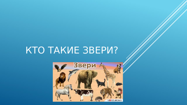 КТО ТАКИЕ ЗВЕРИ? 