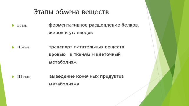  Этапы обмена веществ I этап  ферментативное расщепление белков,  жиров и углеводов II этап  транспорт питательных веществ  кровью к тканям и клеточный  метаболизм III этап  выведение конечных продуктов  метаболизма 