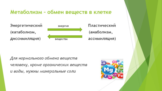 Метаболизм – обмен веществ в клетке  Энергетический энергия Пластический (катаболизм, (анаболизм, диссимиляция) вещества ассимиляция)   Для нормального обмена веществ человеку, кроме органических веществ и воды, нужны минеральные соли 