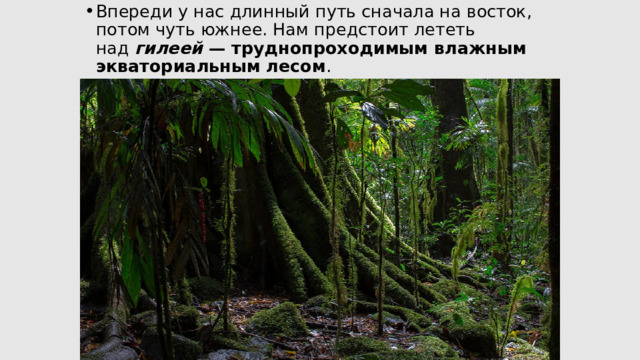 Впереди у нас длинный путь сначала на восток, потом чуть южнее. Нам предстоит лететь над  гилеей  — труднопроходимым влажным экваториальным лесом . 