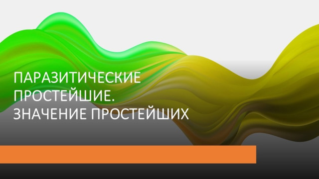 05.10.2023      8 класс  Многообразие простейших. 