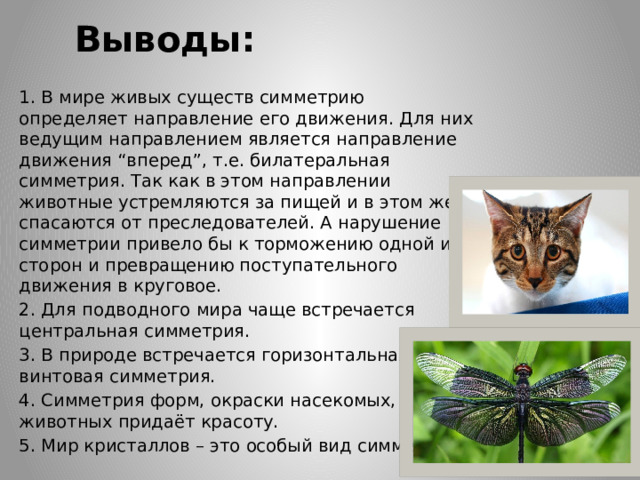 Выводы: 1. В мире живых существ симметрию определяет направление его движения. Для них ведущим направлением является направление движения “вперед”, т.е. билатеральная симметрия. Так как в этом направлении животные устремляются за пищей и в этом же спасаются от преследователей. А нарушение симметрии привело бы к торможению одной из сторон и превращению поступательного движения в круговое. 2. Для подводного мира чаще встречается центральная симметрия. 3. В природе встречается горизонтальная и винтовая симметрия. 4. Симметрия форм, окраски насекомых, животных придаёт красоту. 5. Мир кристаллов – это особый вид симметрии. 