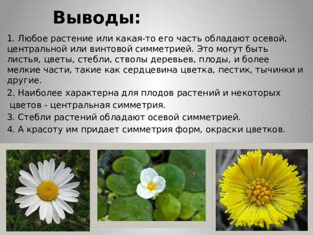 Выводы: 1. Любое растение или какая-то его часть обладают осевой, центральной или винтовой симметрией. Это могут быть листья, цветы, стебли, стволы деревьев, плоды, и более мелкие части, такие как сердцевина цветка, пестик, тычинки и другие. 2. Наиболее характерна для плодов растений и некоторых  цветов - центральная симметрия. 3. Стебли растений обладают осевой симметрией. 4. А красоту им придает симметрия форм, окраски цветков. 