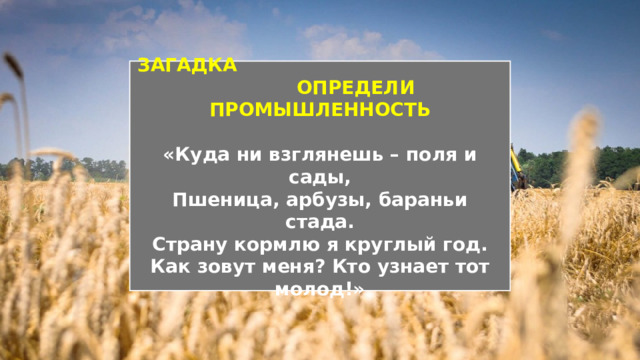 ЗАГАДКА ОПРЕДЕЛИ ПРОМЫШЛЕННОСТЬ  «Куда ни взглянешь – поля и сады, Пшеница, арбузы, бараньи стада. Страну кормлю я круглый год. Как зовут меня? Кто узнает тот молод!» 
