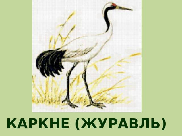 КАРКНЕ (ЖУРАВЛЬ) 