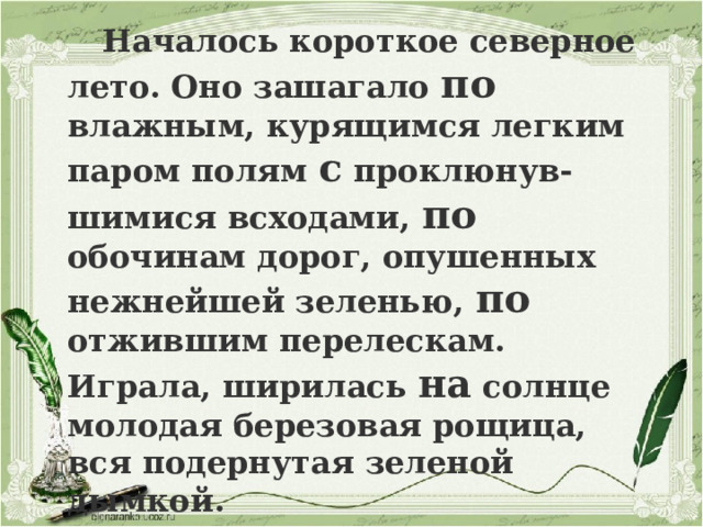  Началось короткое северное лето. Оно зашагало по влажным, курящимся легким паром полям с проклюнув-шимися всходами, по обочинам дорог, опушенных нежнейшей зеленью, по отжившим перелескам. Играла, ширилась на солнце молодая березовая рощица, вся подернутая зеленой дымкой. 