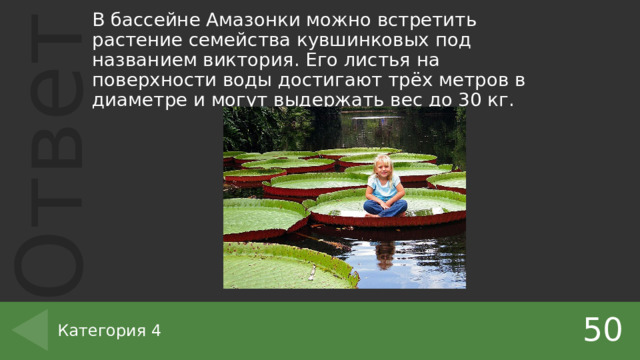 В бассейне Амазонки можно встретить растение семейства кувшинковых под названием виктория. Его листья на поверхности воды достигают трёх метров в диаметре и могут выдержать вес до 30 кг. 50 Категория 4 