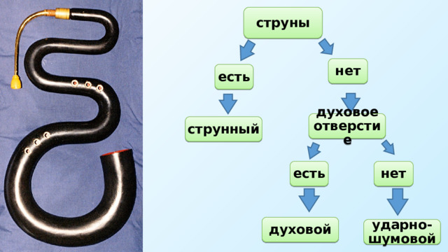 струны нет есть духовое отверстие струнный есть нет духовой ударно-шумовой 