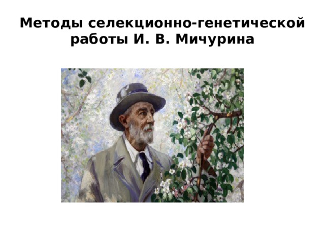 Методы селекционно-генетической работы И. В. Мичурина 