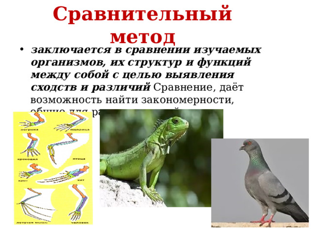 Сравнительный метод заключается в   сравнении изучаемых организмов, их структур и функций между собой с целью выявления сходств и различий Сравнение, даёт возможность найти закономерности, общие для разных явлений 