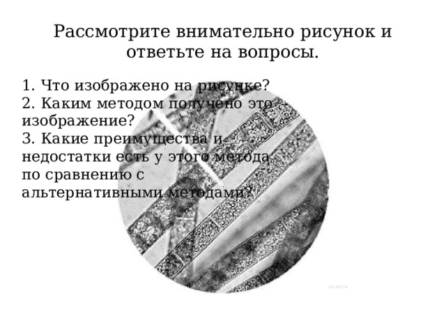 Рассмотрите внимательно рисунок и ответьте на вопросы. 1. Что изображено на рисунке? 2. Каким методом получено это изображение? 3. Какие преимущества и недостатки есть у этого метода по сравнению с альтернативными методами? 