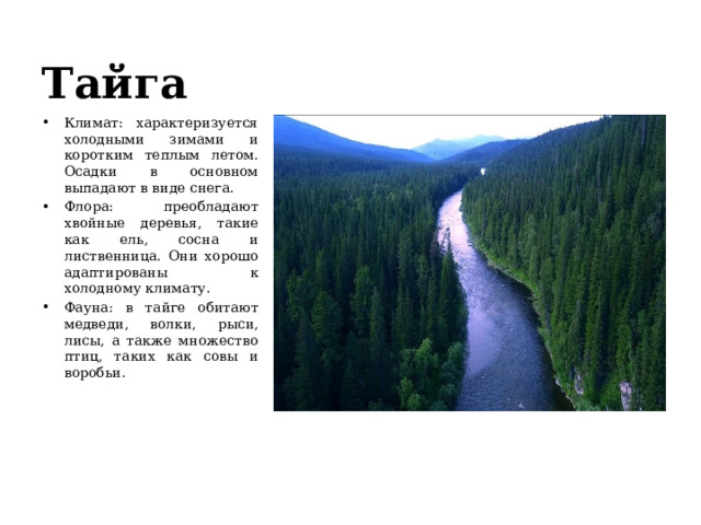 Тайга Климат: характеризуется холодными зимами и коротким теплым летом. Осадки в основном выпадают в виде снега. Флора: преобладают хвойные деревья, такие как ель, сосна и лиственница. Они хорошо адаптированы к холодному климату. Фауна: в тайге обитают медведи, волки, рыси, лисы, а также множество птиц, таких как совы и воробьи. 