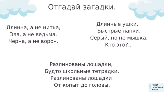 Отгадай загадки. Длинные ушки,  Быстрые лапки.  Серый, но не мышка.  Кто это?.. Длинна, а не нитка, Зла, а не ведьма, Черна, а не ворон. Разлинованы лошадки, Будто школьные тетрадки. Разлинованы лошадки От копыт до головы. 