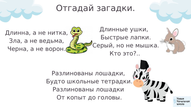 Отгадай загадки. Длинные ушки,  Быстрые лапки.  Серый, но не мышка.  Кто это?.. Длинна, а не нитка, Зла, а не ведьма, Черна, а не ворон. Разлинованы лошадки, Будто школьные тетрадки. Разлинованы лошадки От копыт до головы. 