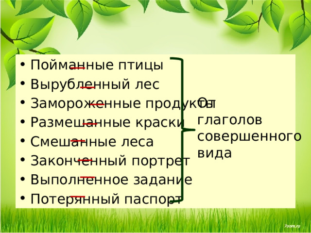 Пойманные птицы Вырубленный лес Замороженные продукты Размешанные краски Смешанные леса Законченный портрет Выполненное задание Потерянный паспорт От глаголов совершенного вида 