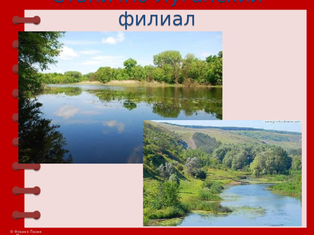 Станично-Луганский филиал    