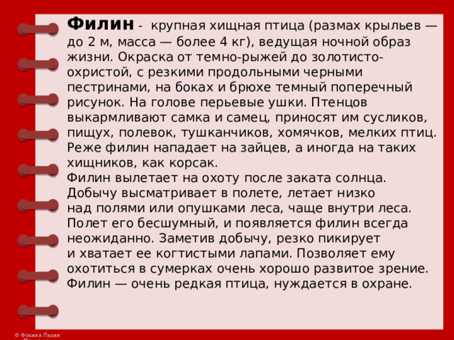 Филин  - крупная хищная птица (размах крыльев — до 2 м, масса — более 4 кг), ведущая ночной образ жизни. Окраска от темно-рыжей до золотисто-охристой, с резкими продольными черными пестринами, на боках и брюхе темный поперечный рисунок. На голове перьевые ушки. Птенцов выкармливают самка и самец, приносят им сусликов, пищух, полевок, тушканчиков, хомячков, мелких птиц. Реже филин нападает на зайцев, а иногда на таких хищников, как корсак. Филин вылетает на охоту после заката солнца. Добычу высматривает в полете, летает низко над полями или опушками леса, чаще внутри леса. Полет его бесшумный, и появляется филин всегда неожиданно. Заметив добычу, резко пикирует и хватает ее когтистыми лапами. Позволяет ему охотиться в сумерках очень хорошо развитое зрение. Филин — очень редкая птица, нуждается в охране. 