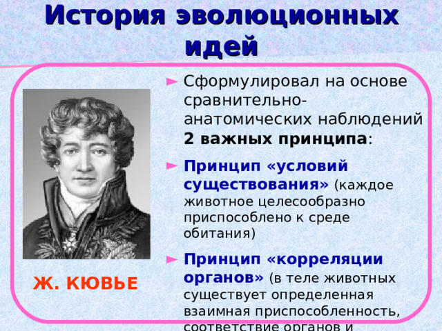 История эволюционных идей Сформулировал на основе сравнительно-анатомических наблюдений 2 важных принципа : Принцип «условий существования»  (каждое животное целесообразно приспособлено к среде обитания) Принцип «корреляции органов»  (в теле животных существует определенная взаимная приспособленность, соответствие органов и функций) Ж. КЮВЬЕ 