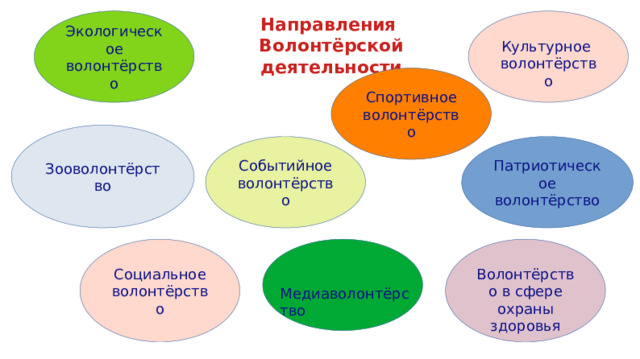 Направления Волонтёрской деятельности Экологическое волонтёрство Культурное волонтёрство Спортивное волонтёрство Зооволонтёрство Патриотическое волонтёрство Событийное волонтёрство Социальное волонтёрство  Волонтёрство в сфере охраны здоровья Медиаволонтёрство 