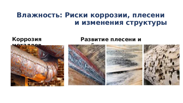 Влажность: Риски коррозии, плесени  и изменения структуры Развитие плесени и грибков Коррозия металлов 