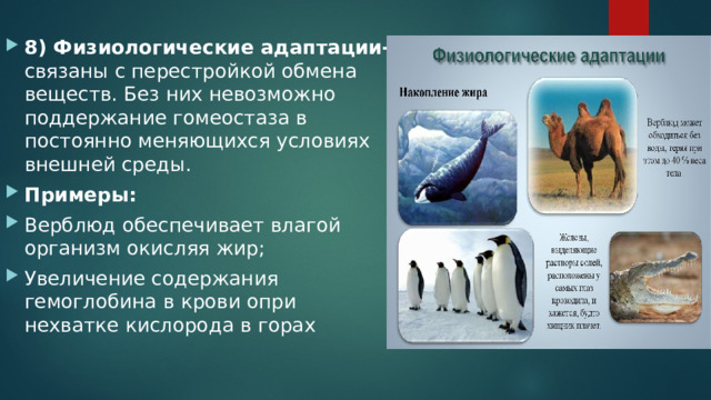 8) Физиологические адаптации- связаны с перестройкой обмена веществ. Без них невозможно поддержание гомеостаза в постоянно меняющихся условиях внешней среды. Примеры: Верблюд обеспечивает влагой организм окисляя жир; Увеличение содержания гемоглобина в крови опри нехватке кислорода в горах 