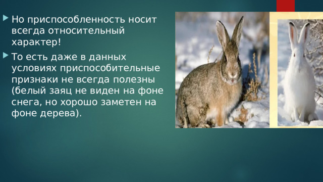 Но приспособленность носит всегда относительный характер! То есть даже в данных условиях приспособительные признаки не всегда полезны (белый заяц не виден на фоне снега, но хорошо заметен на фоне дерева). 
