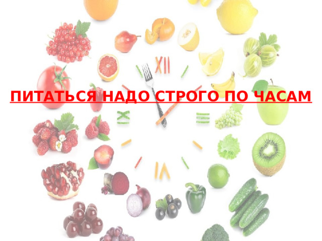 ПИТАТЬСЯ НАДО СТРОГО ПО ЧАСАМ 