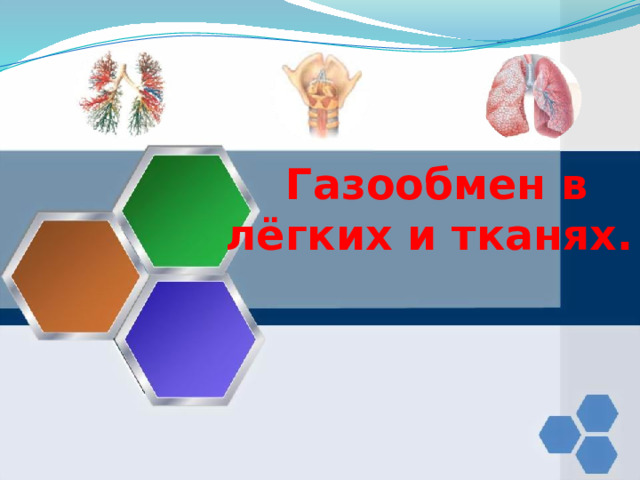   Газообмен в лёгких и тканях. 