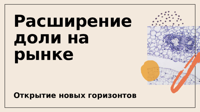 Расширение доли на рынке Открытие новых горизонтов 1 