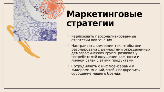 Маркетинговые стратегии Реализовать персонализированные стратегии вовлечения Настраивать кампании так, чтобы они резонировали с ценностями определенных демографических групп, развивая у потребителей ощущение важности и личной связи с этими продуктами. Сотрудничать с инфлюэнсерами и лидерами мнений, чтобы подкрепить сообщение нашего бренда. 1 