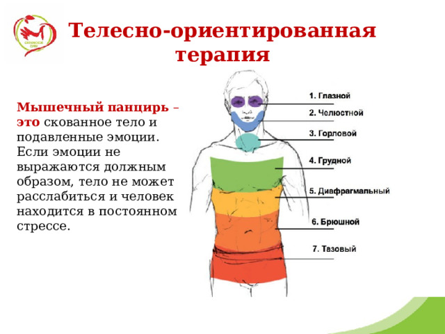 Телесно-ориентированная терапия Мышечный   панцирь  – это  скованное тело и подавленные эмоции. Если эмоции не выражаются должным образом, тело не может расслабиться и человек находится в постоянном стрессе. 