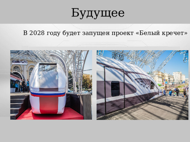 Будущее В 2028 году будет запущен проект «Белый кречет» 