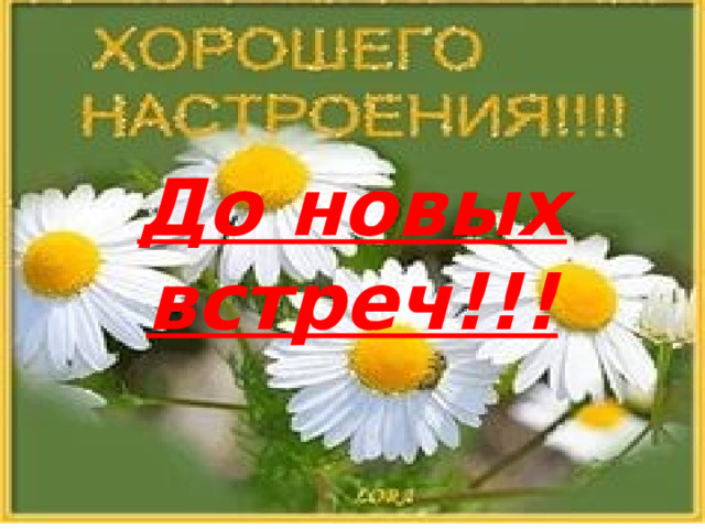 До новых встреч!!! 