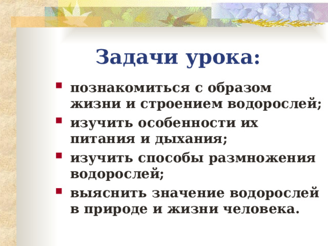 Задачи урока: познакомиться с образом жизни и строением водорослей; изучить особенности их питания и дыхания; изучить способы размножения водорослей; выяснить значение водорослей в природе и жизни человека.  