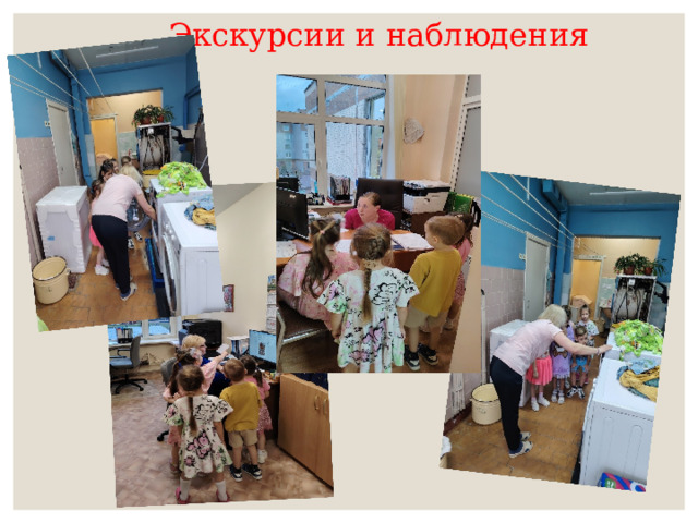 Экскурсии и наблюдения 