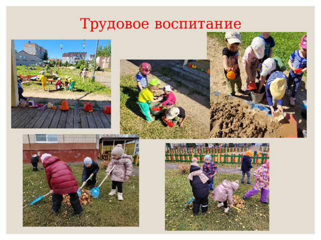 Трудовое воспитание 