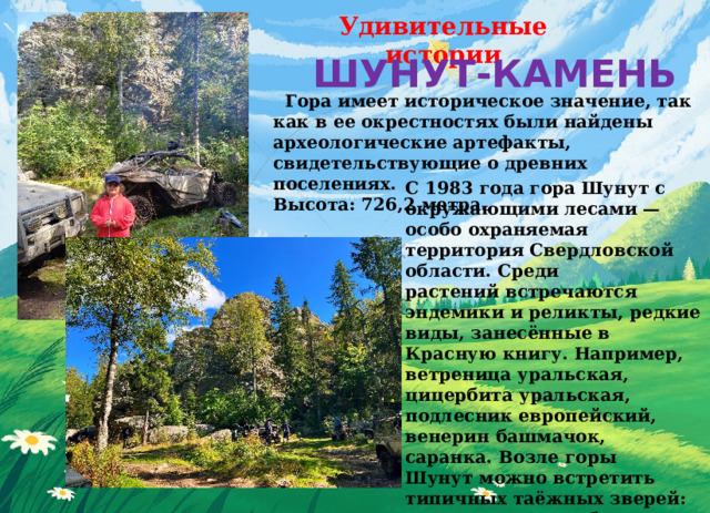 Удивительные истории ШУНУТ-КАМЕНЬ    Гора имеет историческое значение, так как в ее окрестностях были найдены археологические артефакты, свидетельствующие о древних поселениях. Высота: 726,2 метра.   С 1983 года гора Шунут с окружающими лесами — особо охраняемая территория Свердловской области. Среди растений встречаются эндемики и реликты, редкие виды, занесённые в Красную книгу. Например, ветреница уральская, цицербита уральская, подлесник европейский, венерин башмачок, саранка. Возле горы Шунут можно встретить типичных таёжных зверей: рысь, медведя, соболя, горностая и лису. В болоте живут: белая куропатка, бекас, дупель, шилохвост, вальдшнеп, кряква, чирок, дикий гусь.    
