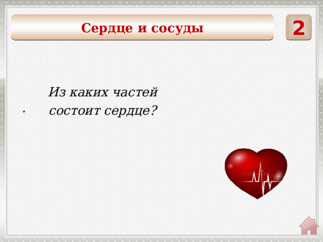 2 Сердце и сосуды . Из каких частей состоит сердце? 