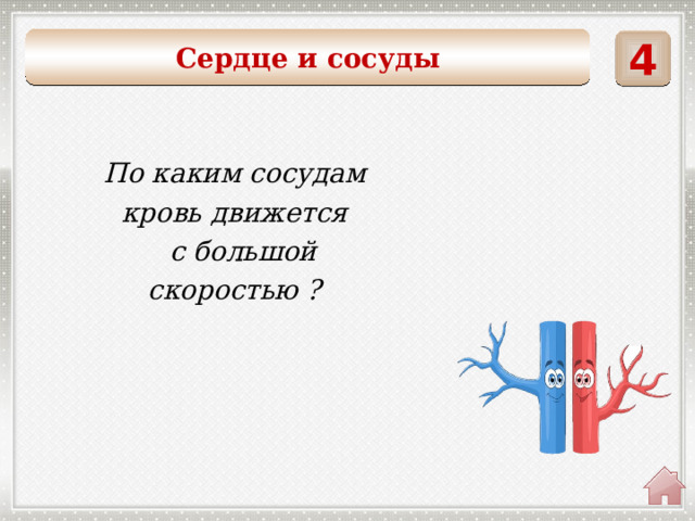 Сердце и сосуды 4  По каким сосудам кровь движется  с большой скоростью ? 