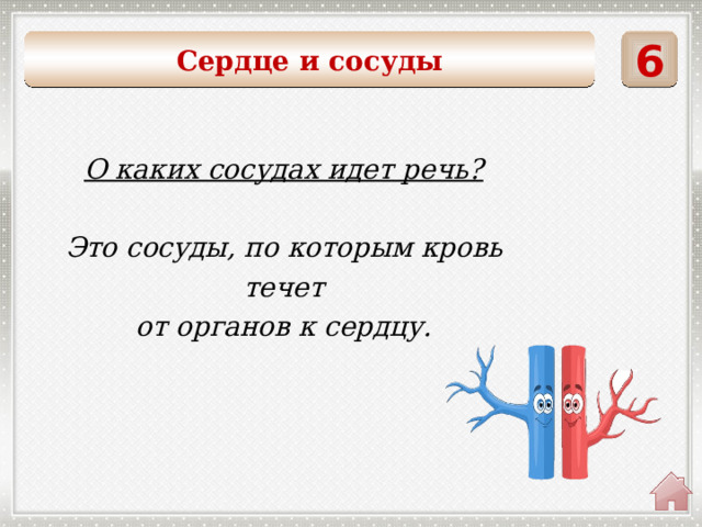 6 Сердце и сосуды  О каких сосудах идет речь?  Это сосуды, по которым кровь течет от органов к сердцу. 