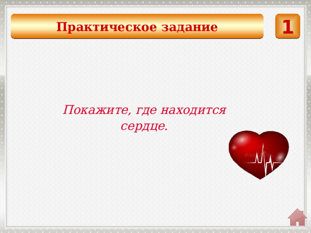 Практическое задание 1  Покажите, где находится сердце. 