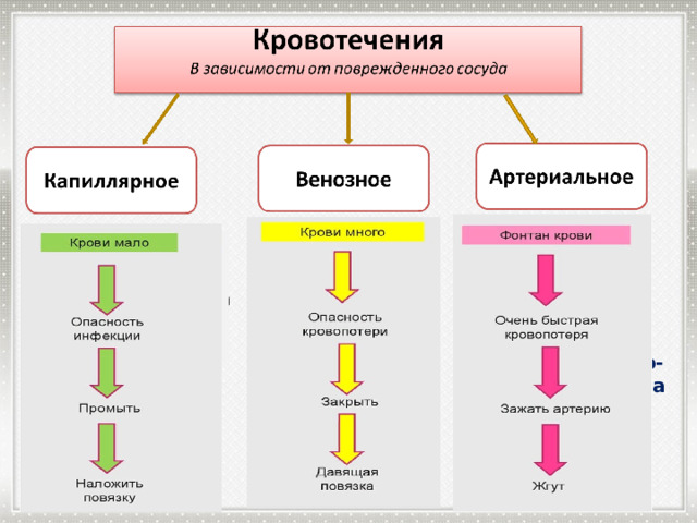 Изливающаяся кровь имеет ярко-красный цвет, она бьет сильной прерывистой струей (фонтаном). Кровь сочится, выделяется равномерно из всей раны (как из губки). Кровь вытекает равномерной струей, имеет темно-вишневую окраску  
