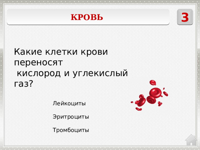 3 Кровь  Какие клетки крови переносят  кислород и углекислый газ? Лейкоциты Эритроциты Тромбоциты 