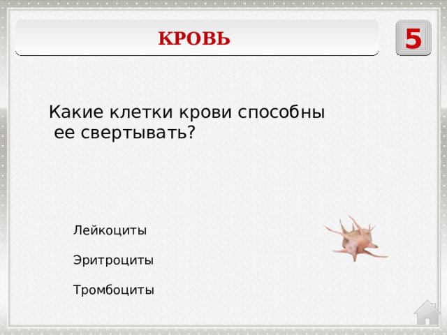 5 Кровь  Какие клетки крови способны  ее свертывать? Лейкоциты Эритроциты Тромбоциты 
