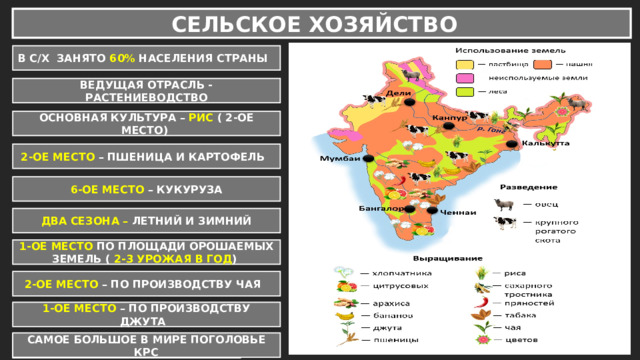 СЕЛЬСКОЕ ХОЗЯЙСТВО В С/Х ЗАНЯТО 60% НАСЕЛЕНИЯ СТРАНЫ ВЕДУЩАЯ ОТРАСЛЬ - РАСТЕНИЕВОДСТВО ОСНОВНАЯ КУЛЬТУРА – РИС ( 2-ОЕ МЕСТО) 2-ОЕ МЕСТО – ПШЕНИЦА И КАРТОФЕЛЬ 6-ОЕ МЕСТО – КУКУРУЗА ДВА СЕЗОНА – ЛЕТНИЙ И ЗИМНИЙ 1-ОЕ МЕСТО ПО ПЛОЩАДИ ОРОШАЕМЫХ ЗЕМЕЛЬ ( 2-3 УРОЖАЯ В ГОД ) 2-ОЕ МЕСТО – ПО ПРОИЗВОДСТВУ ЧАЯ 1-ОЕ МЕСТО – ПО ПРОИЗВОДСТВУ ДЖУТА САМОЕ БОЛЬШОЕ В МИРЕ ПОГОЛОВЬЕ КРС РАЗВИТО РЫБОЛОВСТВО 